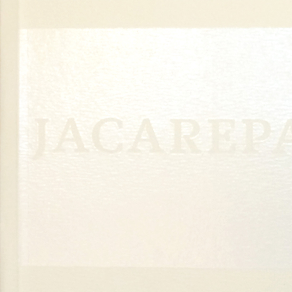 Jacarepaguá